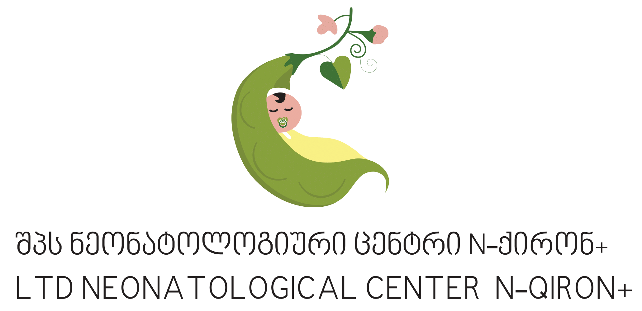 შპს N ქირონ +